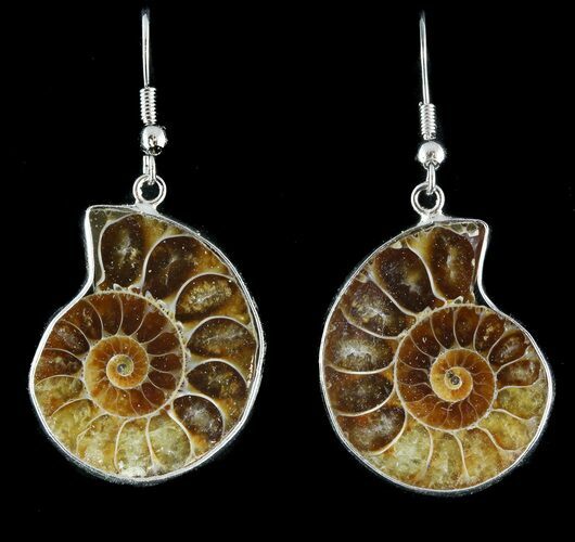 Fossil Ammonite Earrings - Million Years Old #48840